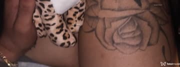 Acompanhante Ariel - Cabeçalho