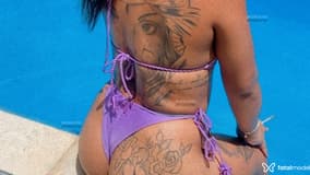 Acompanhante Morena - Cabeçalho