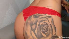 Acompanhante Morena Bombo - Cabeçalho