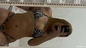 Acompanhante Bárbara - Cabeçalho