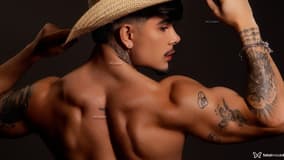 Acompanhante Henrique - Cabeçalho