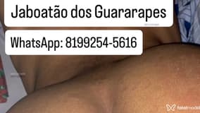 Acompanhante Tobias Castro - Cabeçalho