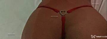 Livinha Acompanhante Livinha - Cabeçalho