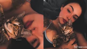 Jessica Acompanhante Jessica - Cabeçalho