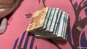 Acompanhante Moreninho - Cabeçalho