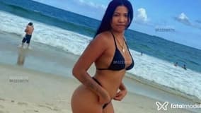 Japinhaa Acompanhante Japinhaa - Cabeçalho