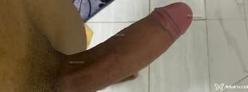 Acompanhante Novinholem - Cabeçalho