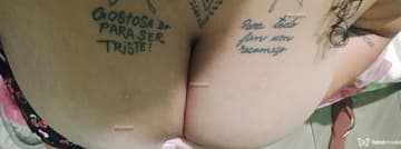 Acompanhante Pampamzinha - Cabeçalho