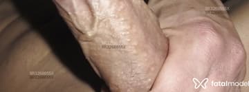 Acompanhante Nohan - Cabeçalho