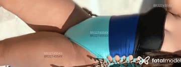 Bela Acompanhante Bela - Cabeçalho