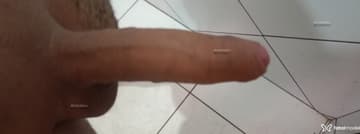 Coelho Acompanhante Coelho - Cabeçalho