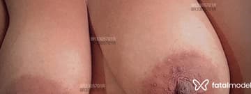 Acompanhante Belly - Cabeçalho