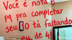 Acompanhante Nanabela - Cabeçalho
