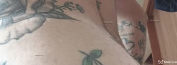 Simeao Acompanhante Simeao - Cabeçalho