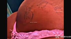 Acompanhante Amanda - Cabeçalho