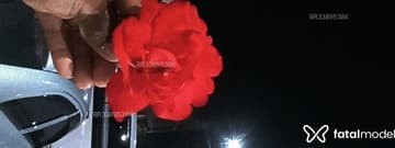 Acompanhante Bela Rosaaa - Cabeçalho