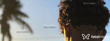 Acompanhante Léo Pereira - Cabeçalho