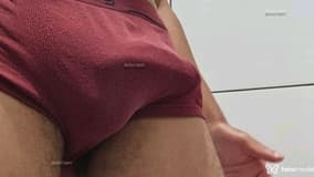 Acompanhante Lisinho - Cabeçalho