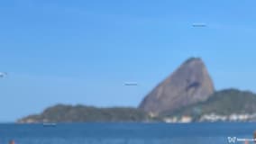 Acompanhante Pollyana - Cabeçalho