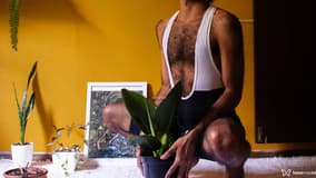 Acompanhante Will - Cabeçalho