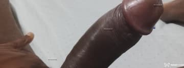 Acompanhante Negrossa - Cabeçalho