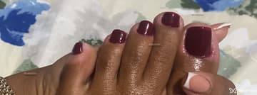 Acompanhante Paula Barradas - Cabeçalho