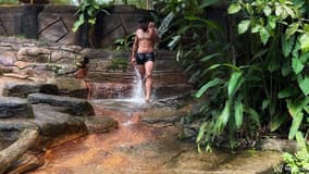 Acompanhante Alexandre - Cabeçalho