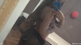 Estrelinha Acompanhante Estrelinha - Cabeçalho