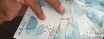 Acompanhante Paulista - Cabeçalho