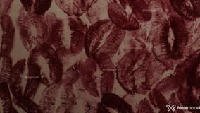 Acompanhante Italo Munhoz - Cabeçalho