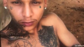 Acompanhante Mateus - Cabeçalho