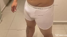 Acompanhante Fernandes - Cabeçalho