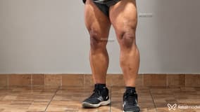 Acompanhante Renato - Cabeçalho