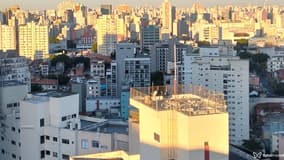 Acompanhante Francyzs - Cabeçalho