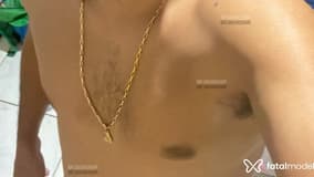 Acompanhante Bruno Rodrigues - Cabeçalho