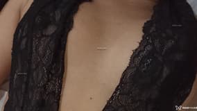 Stella Acompanhante Stella - Cabeçalho