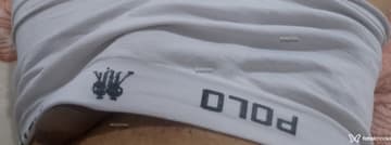 Vinícius Acompanhante Vinícius - Cabeçalho
