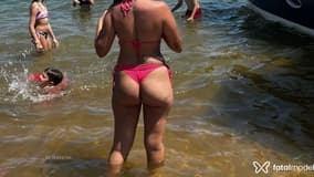 Acompanhante Vanessa - Cabeçalho