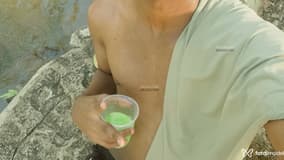 Acompanhante Luca - Cabeçalho
