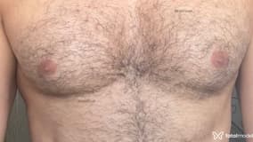 Peludot Acompanhante Peludot - Cabeçalho