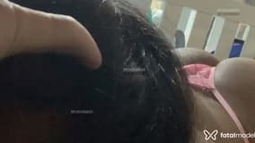 Acompanhante Vitorinha - Cabeçalho