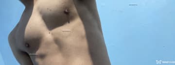 Acompanhante David - Cabeçalho