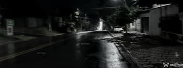 Bueno Acompanhante Bueno - Cabeçalho