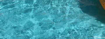 Débora Charallo Acompanhante Débora Charallo - Cabeçalho