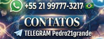 Acompanhante Pedro - Cabeçalho