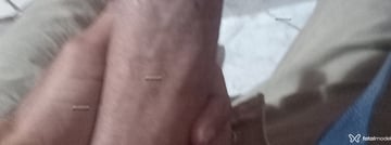 Toguro dotad Acompanhante Toguro dotad - Cabeçalho