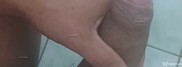 Evinhomt Acompanhante Evinhomt - Cabeçalho