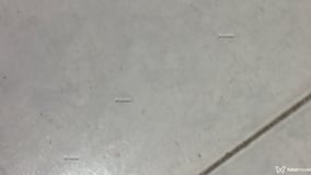 Aaaaa Acompanhante Aaaaa - Cabeçalho