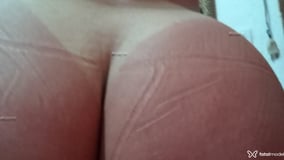 Cáfila Acompanhante Cáfila - Cabeçalho
