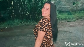 Taina Acompanhante Taina - Cabeçalho